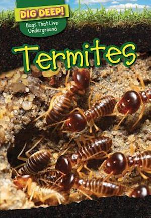 Termites