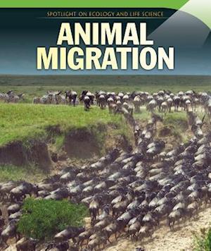 Animal Migration