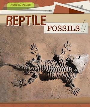 Reptile Fossils