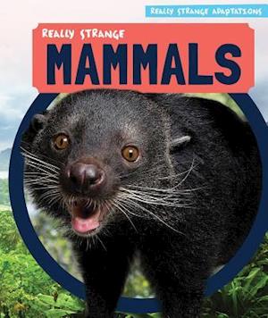 Really Strange Mammals