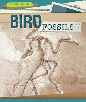 Bird Fossils