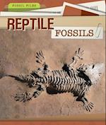 Reptile Fossils
