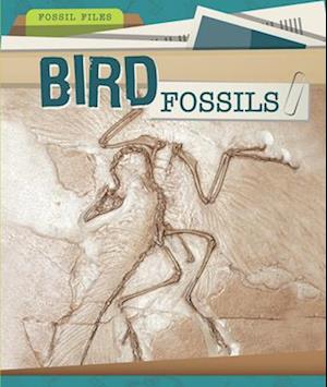 Bird Fossils