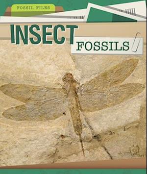 Insect Fossils