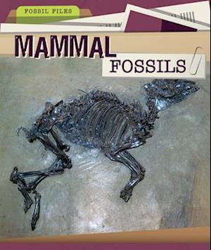 Mammal Fossils