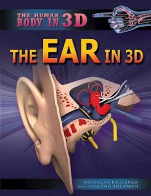 The Ear in 3D