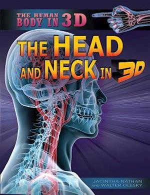 The Head and Neck in 3D