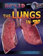 The Lungs in 3D
