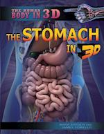 The Stomach in 3D