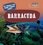 20 Things You Didn't Know about Barracuda