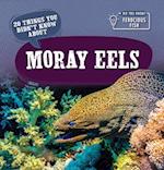 20 Things You Didn't Know about Moray Eels