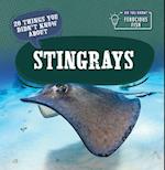 20 Things You Didn't Know about Stingrays