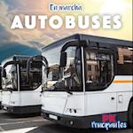 Autobuses (Buses)