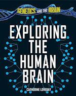 Exploring the Human Brain