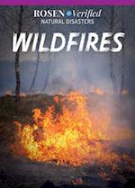 Wildfires