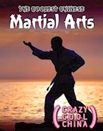 The Coolest Chinese Martial Arts