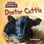 Dexter Cattle
