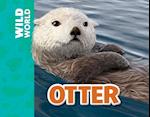 Otter