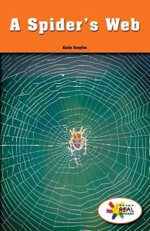 A Spider's Web