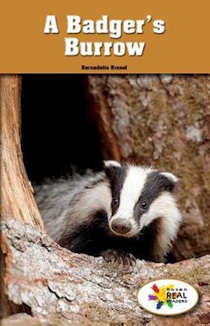 A Badger's Burrow