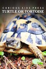 Turtle or Tortoise - Curious Kids Press