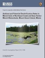 Ambient and Potential Denitrification Rates in Marsh Soils of Northeast Creek and Bass Harbor Marsh Watersheds, Mount Desert Island, Maine