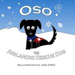 Oso the Avalanche Rescue Dog