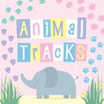 Animal Tracks