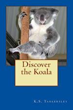 Discover the Koala