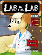 Lab in the Lab