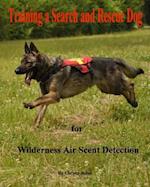 Training a Search and Rescue Dog