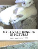My Love of Bunnies