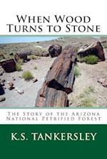 When Wood Turns to Stone: The Story of the Arizona National Petrified Forest 