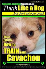 Cavachon, Cavachon Training AAA Akc - Think Like a Dog, But Don't Eat Your Poop!