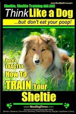 Sheltie, Sheltie Training AAA Akc Think Like a Dog But Don't Eat Your Poop!