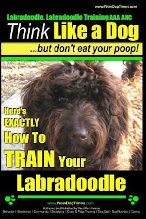 Labradoodle, Labradoodle Training AAA Akc