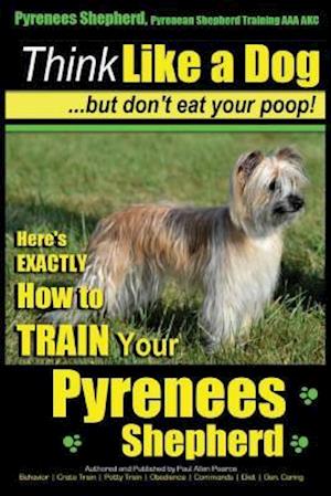 Pyrenees Shepherd, Pyrenean Shepherd Training AAA Akc Think Like a Dog, But Don't Eat Your Poop! Pyrenees Shepherd Breed Expert Training