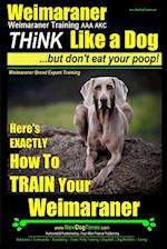 Weimaraner, Weimaraner Training AAA Akc