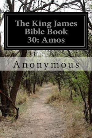 The King James Bible Book 30