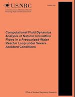 Computational Fluid Dynamics Analysis of Natural Circulation Flows in a Pressurized-Water Reactor Loop Under Severe Accident Conditions