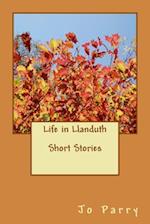 Life in Llanduth - Short Stories