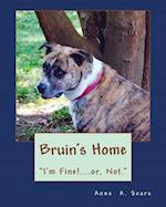 Bruin's Home (Book 4)