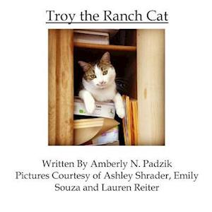 Troy the Ranch Cat