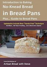 Introduction to Baking No-Knead Bread in Bread Pans (Plus... Guide to Bread Pans)