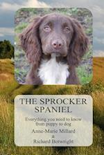The Sprocker Spaniel