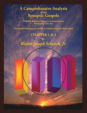 A Comprehensive Analysis of the Synoptic Gospels