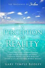 A Perception of Reality