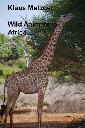 Wild Animals in Africa