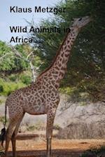 Wild Animals in Africa