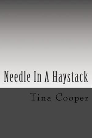 Needle in a Haystack